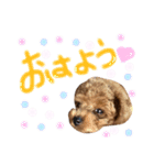 ロアロアスタンプ（個別スタンプ：4）