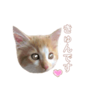 のりまき と そらまめ（個別スタンプ：3）