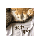 のりまき と そらまめ（個別スタンプ：5）