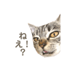 のりまき と そらまめ（個別スタンプ：6）