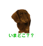 くりさんちpart2（個別スタンプ：11）