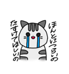 情緒不安定なぬこ（個別スタンプ：3）