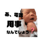 HASEGAWA family stamp 3（個別スタンプ：15）