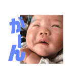 HASEGAWA family stamp 3（個別スタンプ：16）
