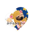 モコてぃんとカイ君（個別スタンプ：4）