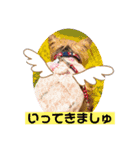 モコてぃんとカイ君（個別スタンプ：5）