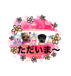 モコてぃんとカイ君（個別スタンプ：6）