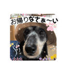 モコてぃんとカイ君（個別スタンプ：8）