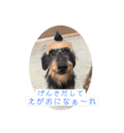 モコてぃんとカイ君（個別スタンプ：10）