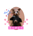 モコてぃんとカイ君（個別スタンプ：12）