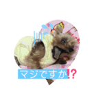 モコてぃんとカイ君（個別スタンプ：13）