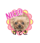モコてぃんとカイ君（個別スタンプ：16）