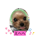 モコてぃんとカイ君（個別スタンプ：21）