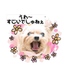 モコてぃんとカイ君（個別スタンプ：22）