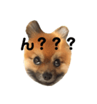 茶々マル（個別スタンプ：2）