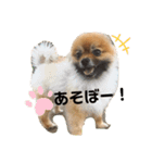茶々マル（個別スタンプ：6）