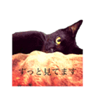#きょうのこなつ（個別スタンプ：1）