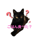 #きょうのこなつ（個別スタンプ：5）