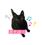 #きょうのこなつ（個別スタンプ：8）
