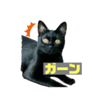 #きょうのこなつ（個別スタンプ：14）