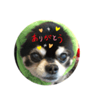 カイスタ癒し系（個別スタンプ：5）
