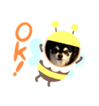カイスタ癒し系（個別スタンプ：6）
