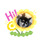 カイスタ癒し系（個別スタンプ：13）