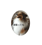 HAPPYのhappylife（個別スタンプ：6）