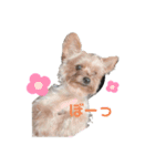 千代子さん（個別スタンプ：7）