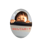 京都青木家（個別スタンプ：5）