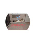 平和なりんりん（個別スタンプ：2）