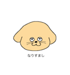 手書きのイヌ（個別スタンプ：16）
