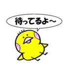 黄色のトリ「きぴよ」（個別スタンプ：40）