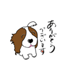 犬の未来 キャバリア（個別スタンプ：1）