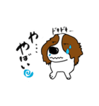 犬の未来 キャバリア（個別スタンプ：2）