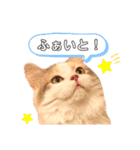 モカちゃんpart.2（個別スタンプ：13）