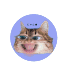 じーにーちゃん（個別スタンプ：9）