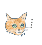 おたねこLINEスタンプ（個別スタンプ：1）