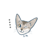 おたねこLINEスタンプ（個別スタンプ：5）