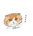 おたねこLINEスタンプ（個別スタンプ：9）