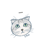 おたねこLINEスタンプ（個別スタンプ：11）