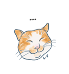 おたねこLINEスタンプ（個別スタンプ：13）