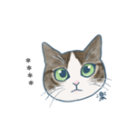 おたねこLINEスタンプ（個別スタンプ：17）