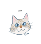 おたねこLINEスタンプ（個別スタンプ：18）