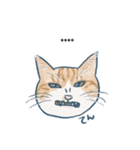 おたねこLINEスタンプ（個別スタンプ：19）