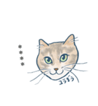 おたねこLINEスタンプ（個別スタンプ：20）