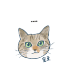 おたねこLINEスタンプ（個別スタンプ：21）