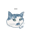 おたねこLINEスタンプ（個別スタンプ：22）