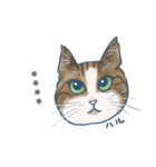 おたねこLINEスタンプ（個別スタンプ：23）