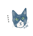 おたねこLINEスタンプ（個別スタンプ：24）